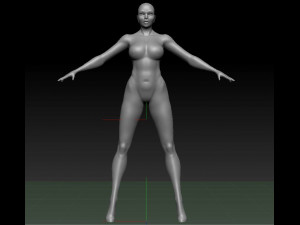 super hero woman basemesh Modelo 3D