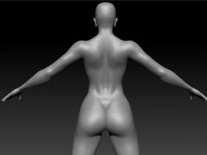 super hero woman basemesh 3D Model
