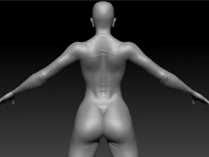 super hero woman basemesh 3D Model