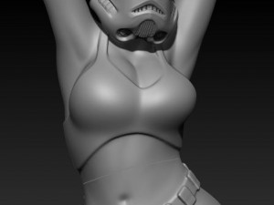 sexy stormtrooper Modello di stampa 3D