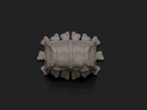 terry pratchett jewellry-trincket box 3d print model 3D Print Model