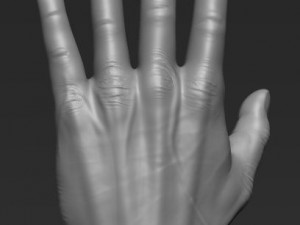 human hand Model 3D