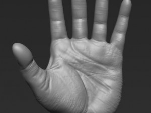 human hand 3D मॉडल