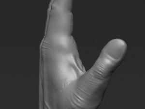 human hand 3D मॉडल