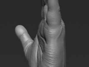 human hand 3D मॉडल