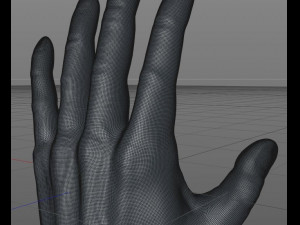 human hand 3D मॉडल