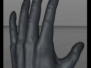 human hand 3D Model