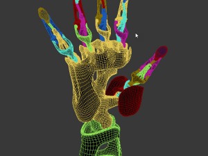 biomimetic articulated hand 3D-Druckmodell