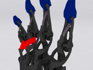 biomimetic articulated hand 3D-Druckmodell