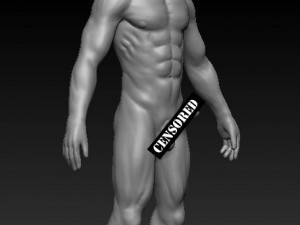 Male 3D Print Model