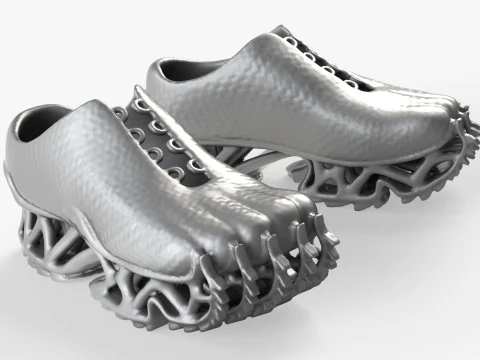 Shoes 02 3D Print Model