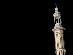 unique minar 3D Model