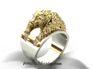 niedźwiedź pierścionkowy Model 3D