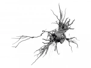 portal to the void 3D Model