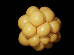 trypophobia 3D Model