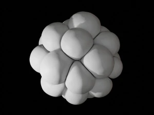 trypophobia 3D Model