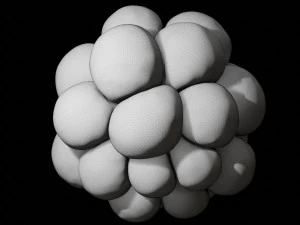 trypophobia 3D Model