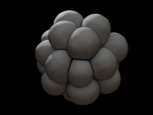 trypophobia 3D Model