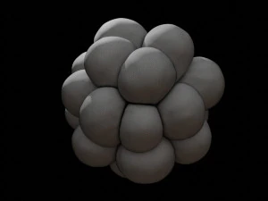 trypophobia 3D Model