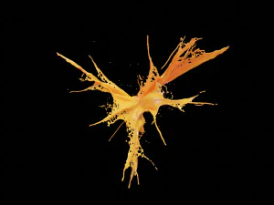 explosi&oacute;n liquida Modelo 3D