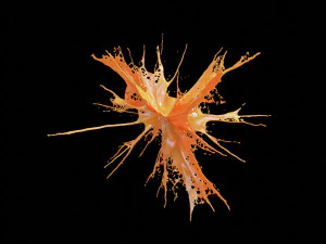 liquid explosion 3D Model