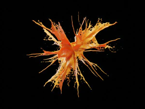 liquid explosion 3D Model
