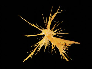 liquid explosion 3D Model