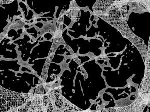 water explosion Modèle 3D