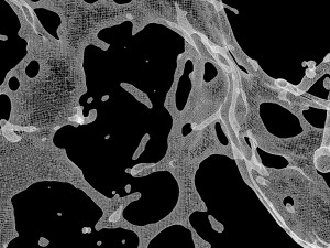 water explosion Modèle 3D