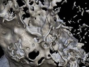 water splash 3D Model