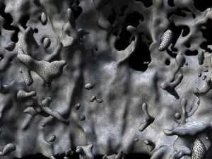water splash 3D Model