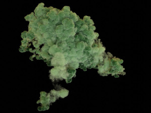 explosion- dust burst vdb 3D-Modell