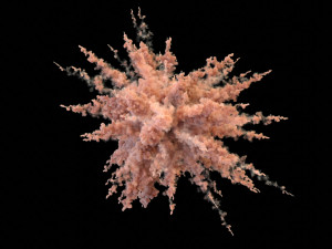 powder explosion vdb 3D 模型