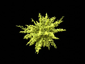splash explosion 3D Model