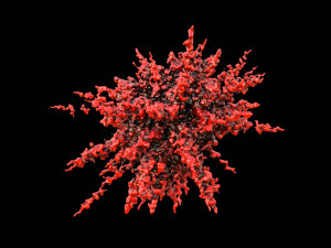 splash explosion 3D Model