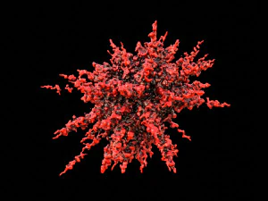 splash explosion 3D Model