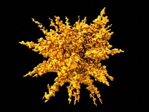 splash explosion 3D Model