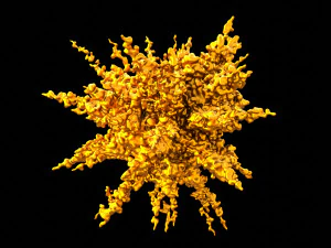 splash explosion 3D Model