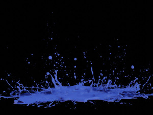 paint splash 3D Model