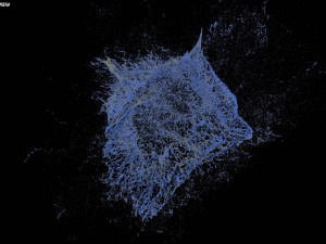 water explosion 2 Modello 3D