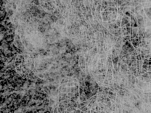 water explosion 2 Modello 3D