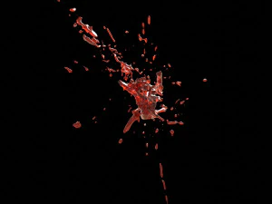 splash 1 3D Model