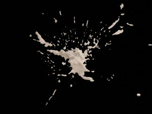 splash 1 3D Model