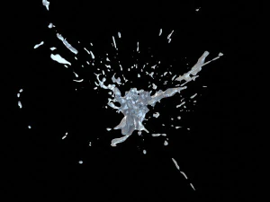 splash 1 3D Model