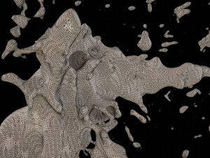 splash 1 Modèle 3D