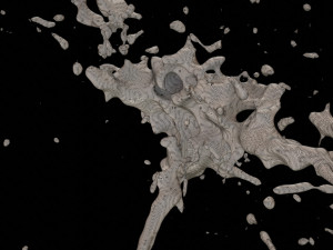splash 1 Modèle 3D