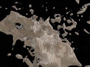 splash 1 3D Model