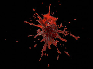 스플래시 2 3D 모델