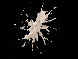 splash 2 3D Model