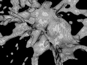 splash 2 3D Model